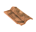  Belkis Natura </span>